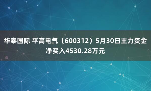 华泰国际 平高电气（600312）5月30日主力资金净买入4530.28万元